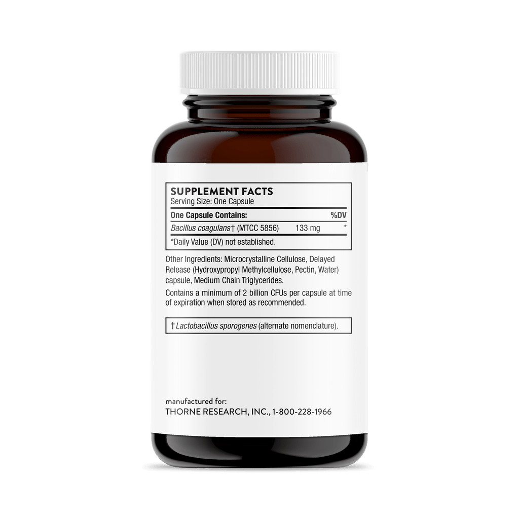 Bacillus Coagulans 60 Capsules