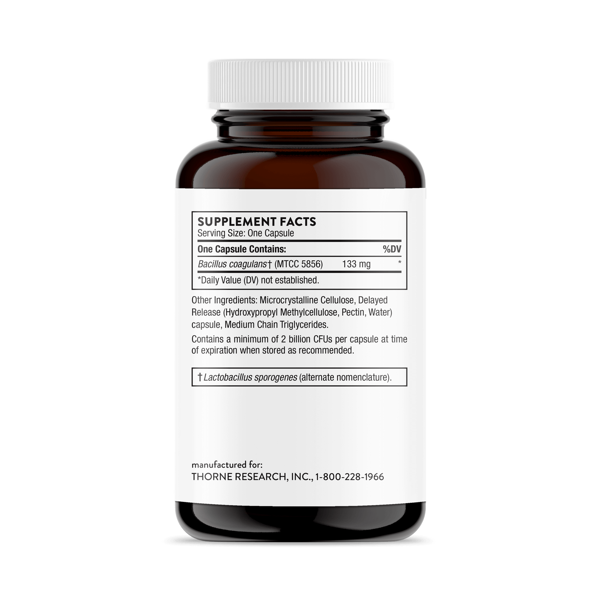 Bacillus Coagulans 60 Capsules