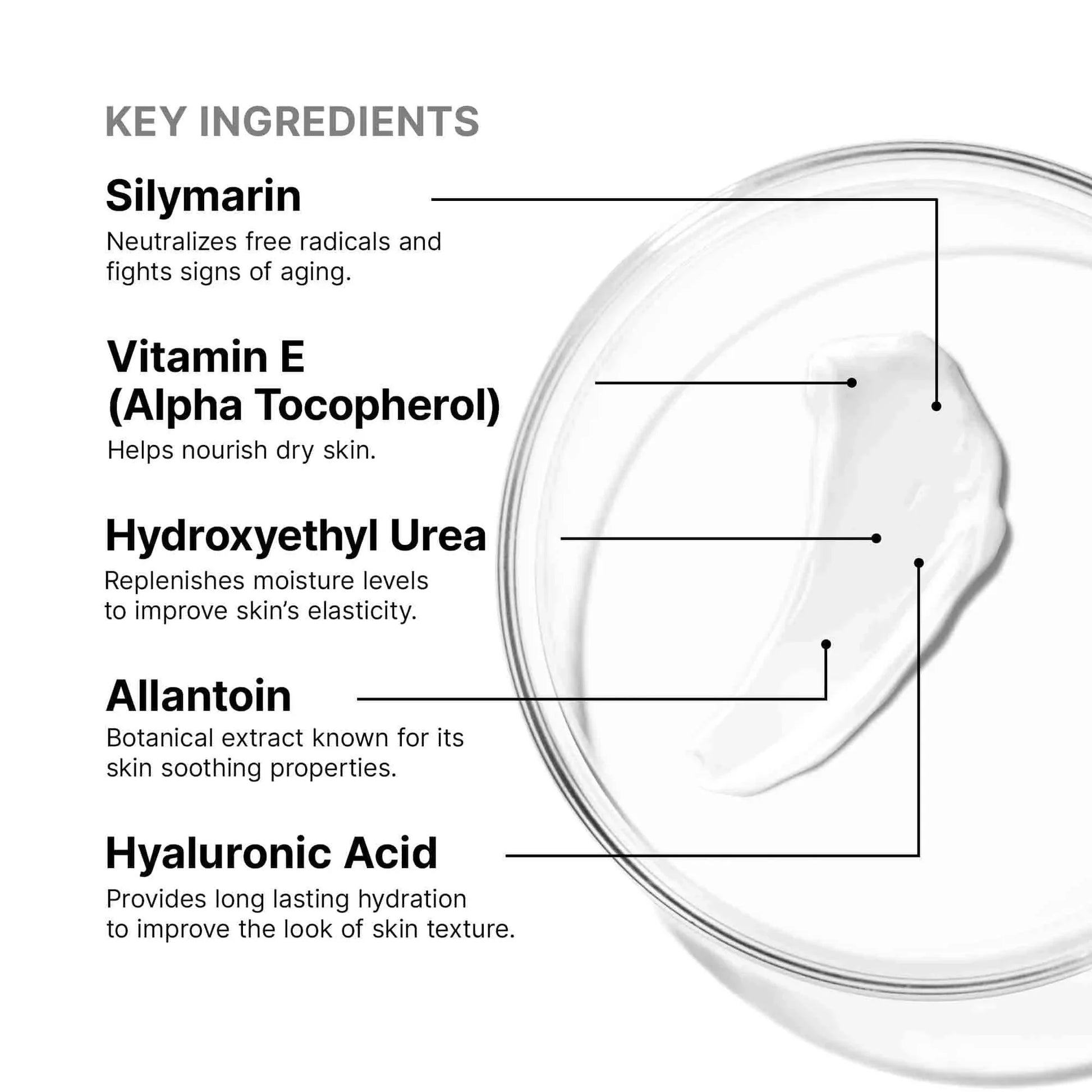 Antioxidant Lip Repair 0.34 oz
